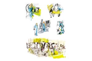 Drawings of milking operations, automated and manual.