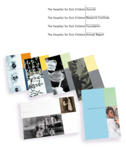 Co-ordinated publications: the Journal, Research Institute, Foundation and Annual Report. Design is a grid format with photographs and blocks of rich colour. Typography combines both the name of the institution and the publication.